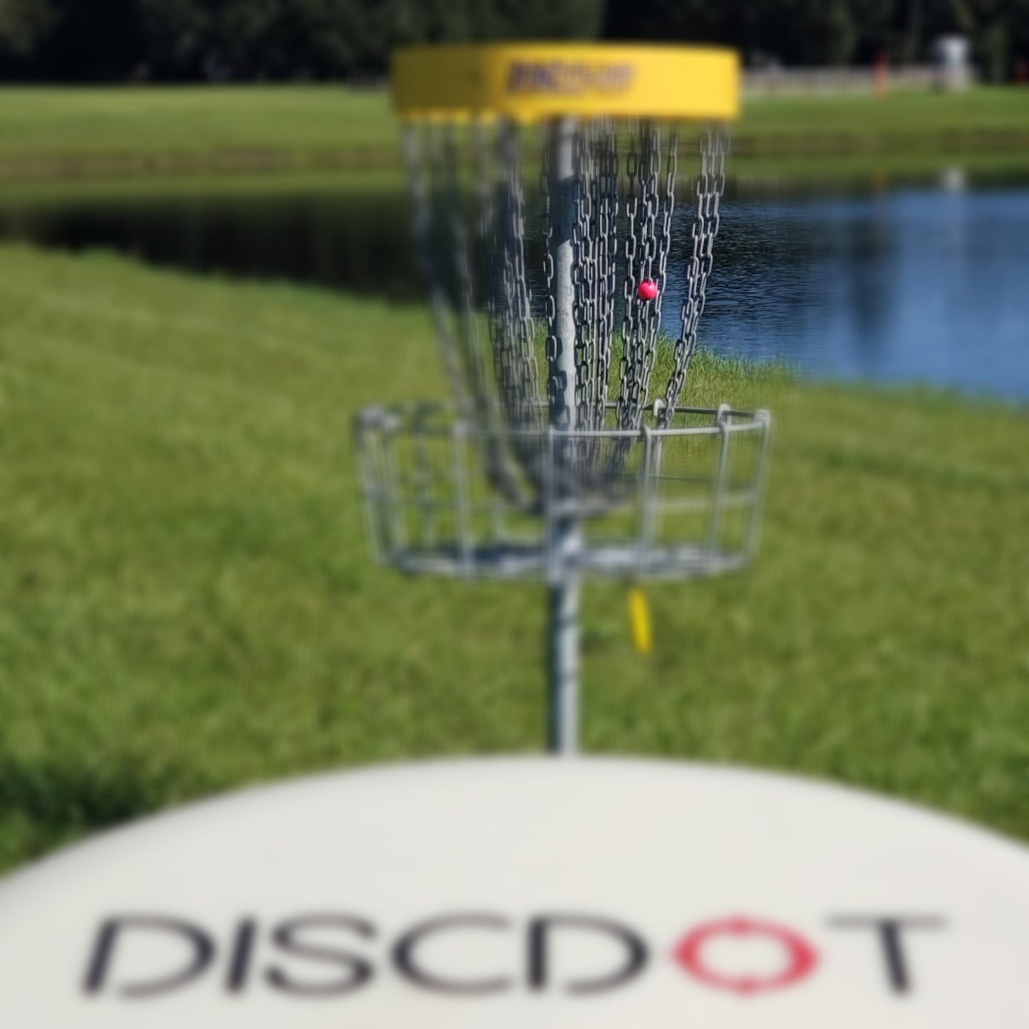 DiscDots